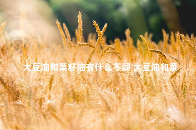 大豆油和菜籽油有什么不同 大豆油和菜籽油哪个好